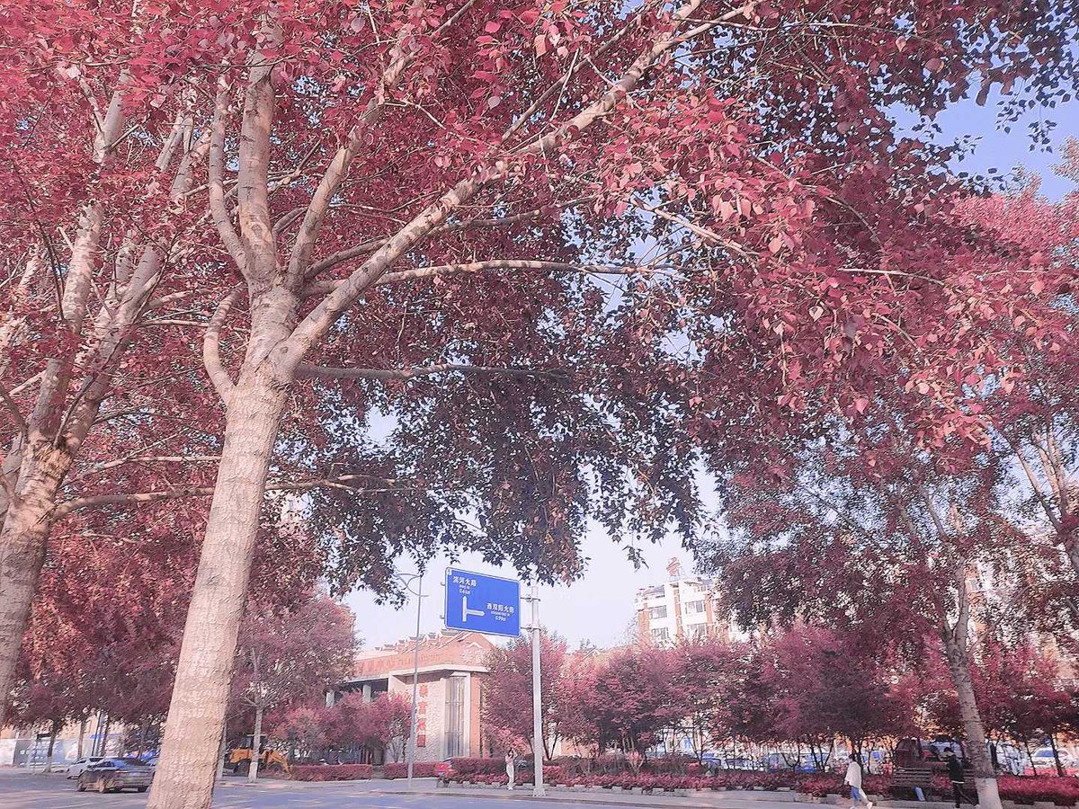sweet50208700's tweet photo. 吉林疫情又严重了，我希望能快点好起来，作为高三生的我如果再次上网课的话，就烂了(ó﹏ò｡) https://t.co/6BNlLb4tYQ