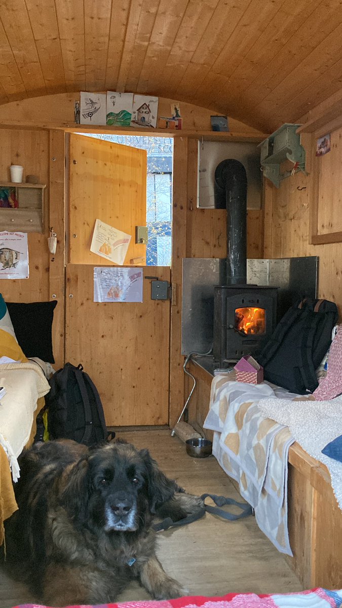 hermionemiao's tweet photo. What an unbelievable experience to have shepherd’s hut in an academic conference? Christian Hanser has made this hut a space full of educational stories. And I did not even mention the fire and the dog. #seraconf22 https://t.co/BWlD5apVIw