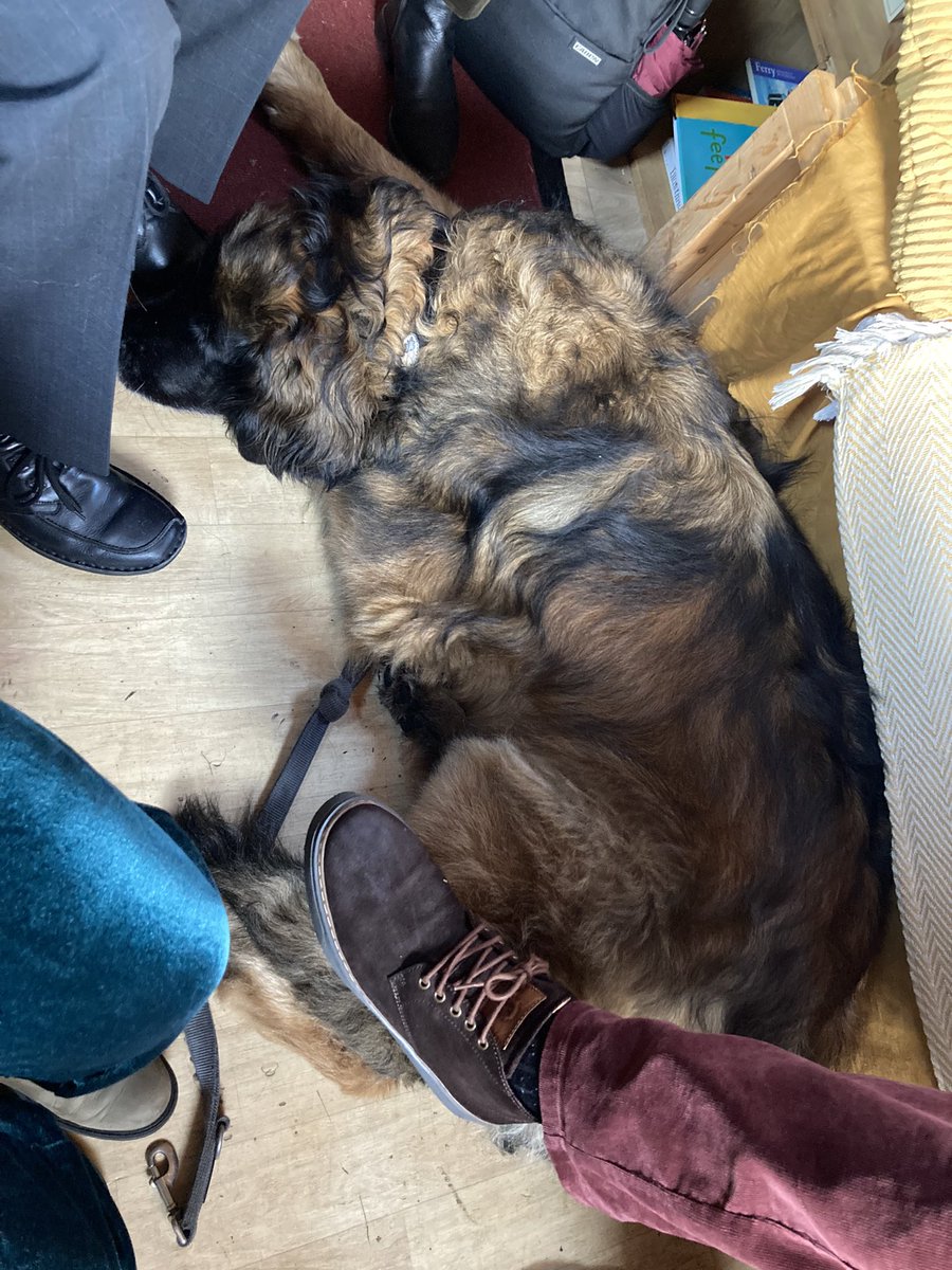 What an unbelievable experience to have shepherd’s hut in an academic conference? Christian Hanser has made this hut a space full of educational stories. And I did not even mention the fire and the dog. #seraconf22