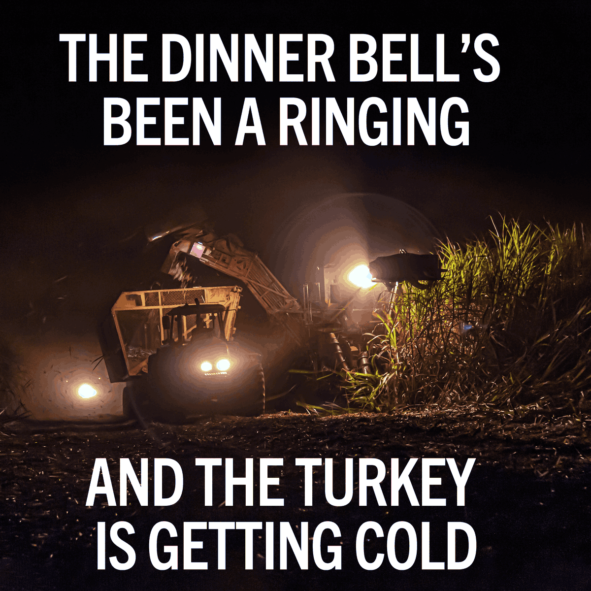 You've done the work. It's time to feast.
#HappyThanksgiving #Harvesting #Thanksgiving #TigerLights #Family