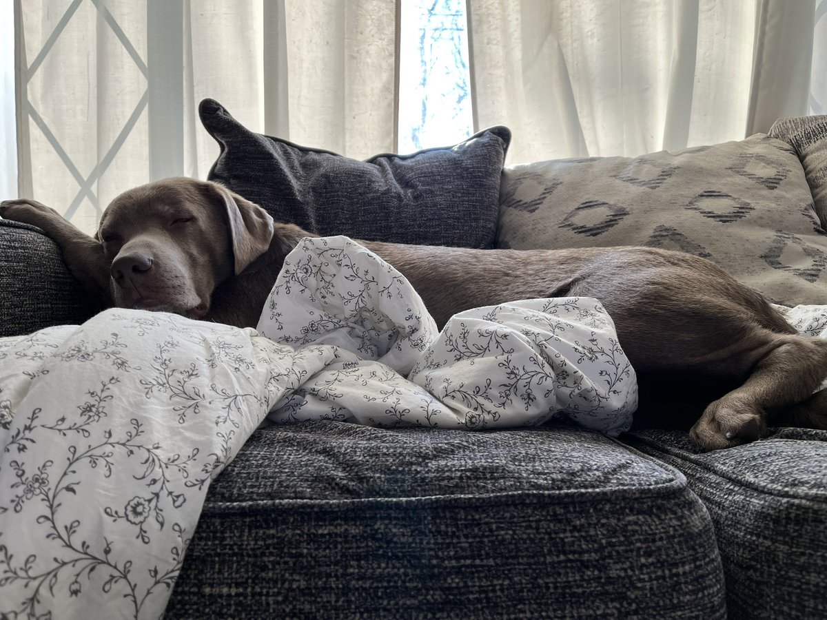 Can you say too much turkey? Happy Thanksgiving Novi!💚🦃