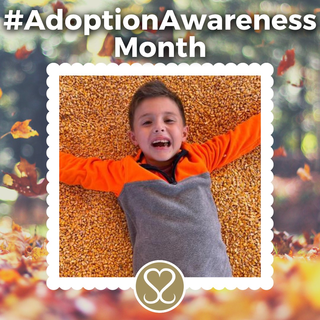 Sacred Selections tweet media