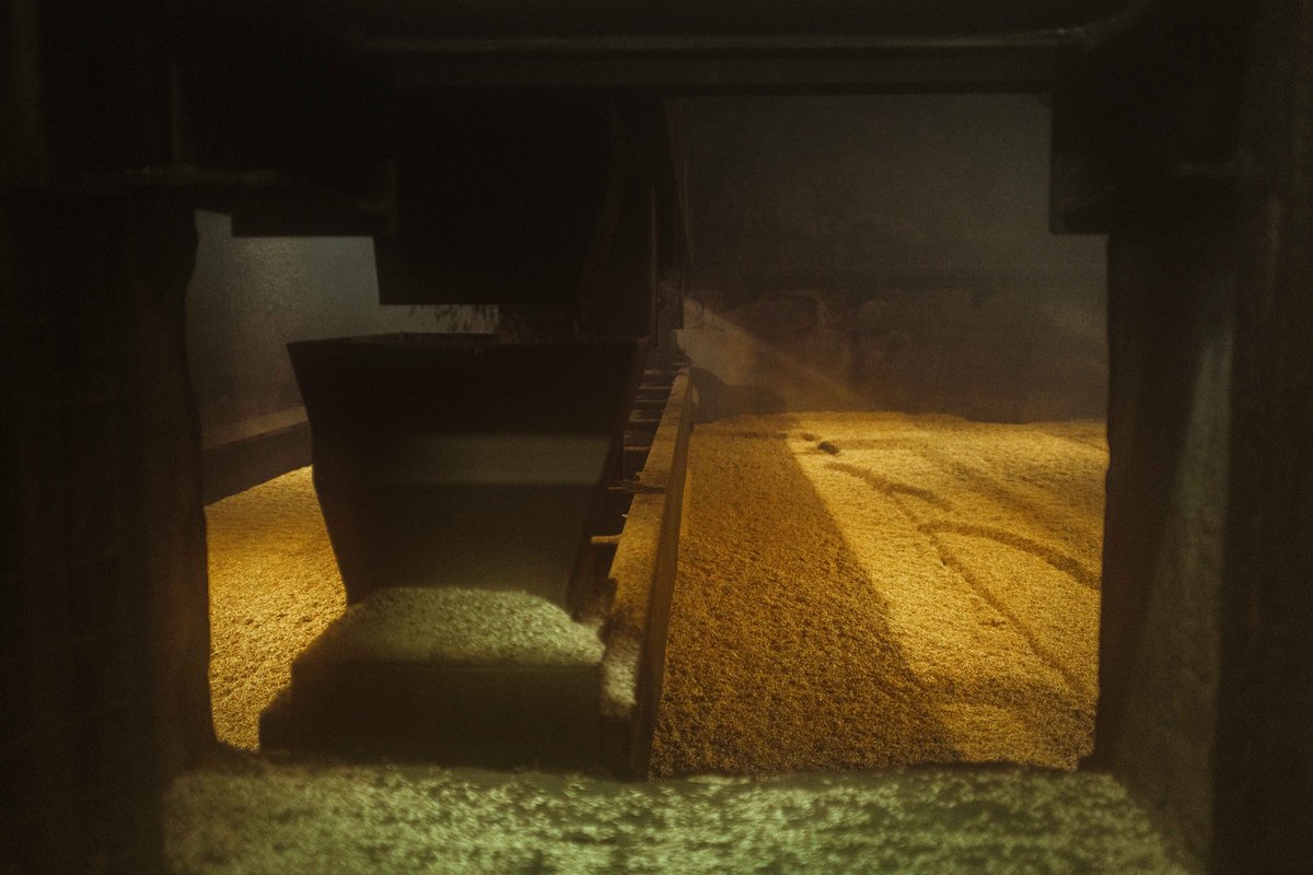WaterfordWhisky's tweet image. Irish barley, wreathed in the smoke of Irish peat for the first time in a generation. We’re not playing around at this: no micro-scale experiment, we want the world to experience it. #Peated Single Farm Origins.