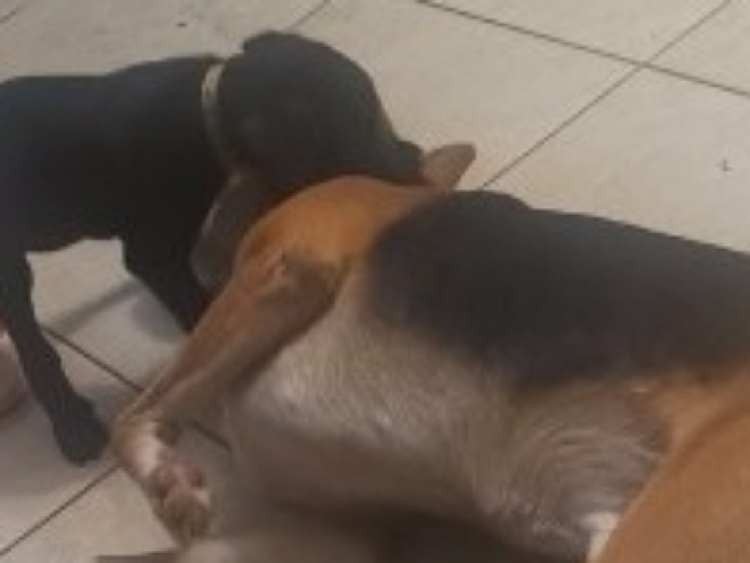 yumar19's tweet image. Un toque de amor ❤️