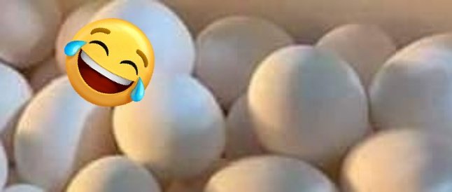 franklinqs3's tweet photo. @Rconstantino Manda ver! 🥾🥾🥾 https://t.co/xVqY0nmqTg