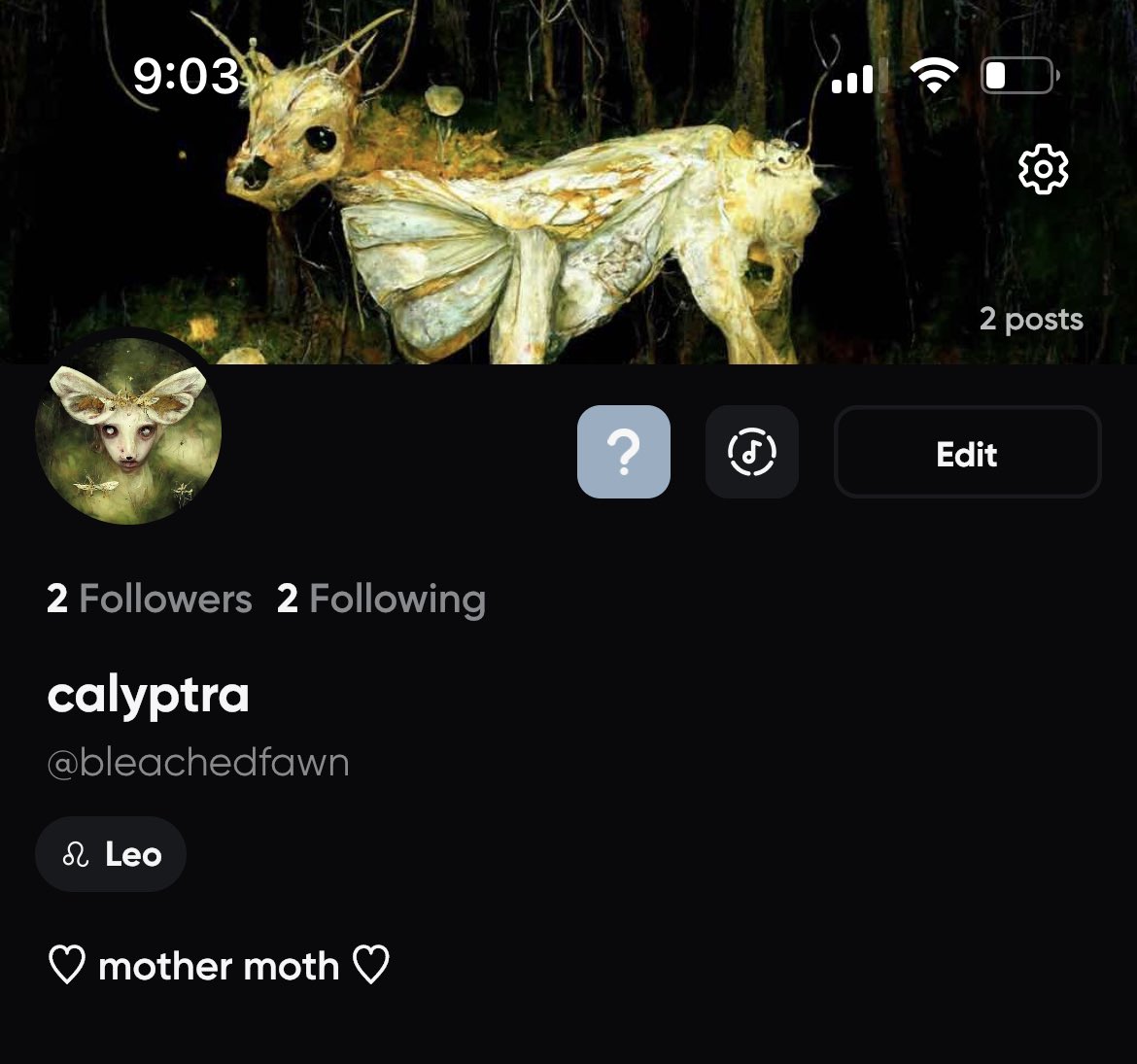 calyptra tweet media