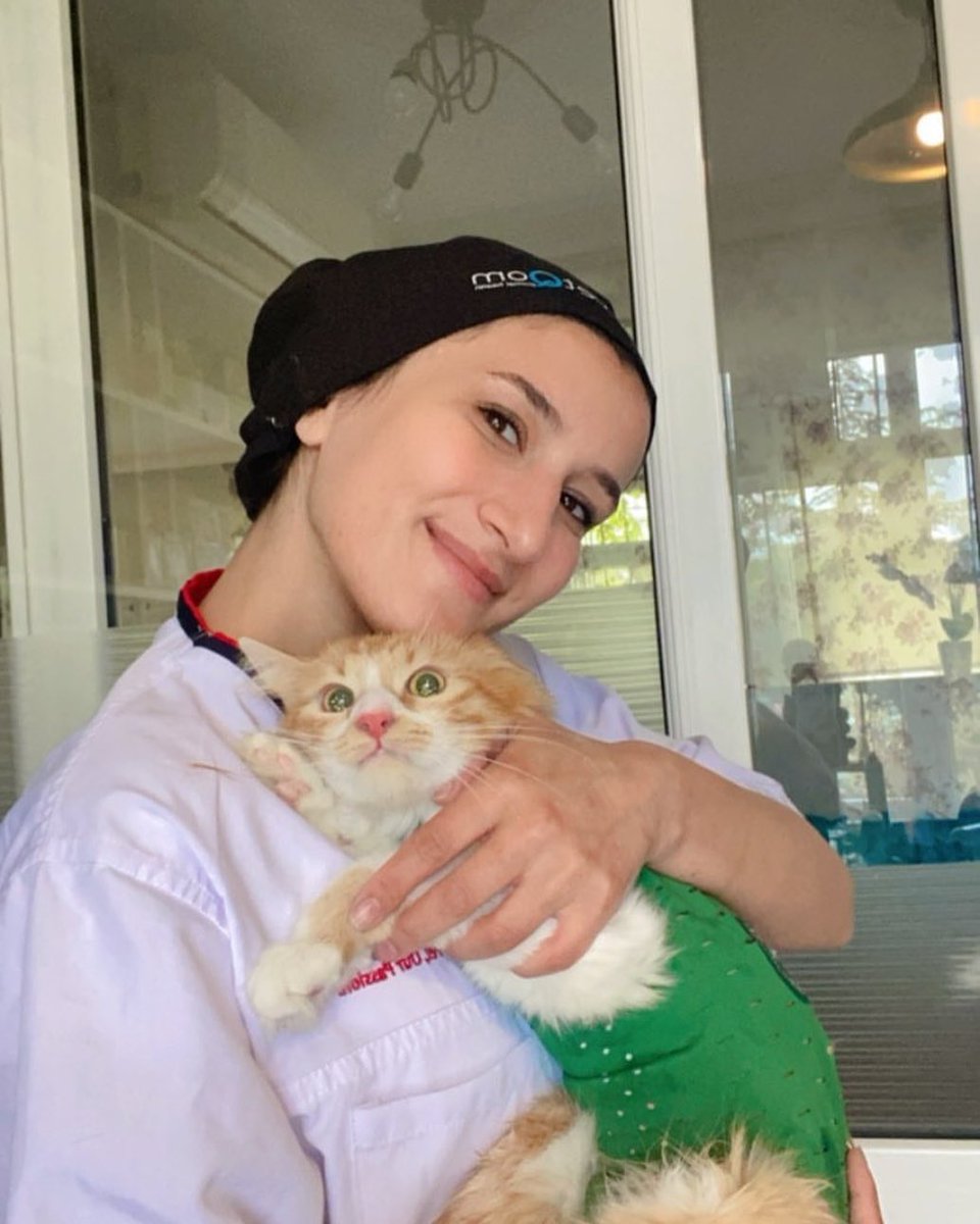 Winpet Yara Koruyucu Korse rahatlığı sayesinde, minik dostlarımız operasyon sonrasında sağlıklı bir süreç geçirir.
Bayi Kliniklerimizden ANKARA
KC Veteriner Kliniği;
Hastarının,
✅ Konforunu,
✅ Güvenini,
✅ Hijyenini,
✅ Mutluluğunu,
Önceliği kabul ediyor