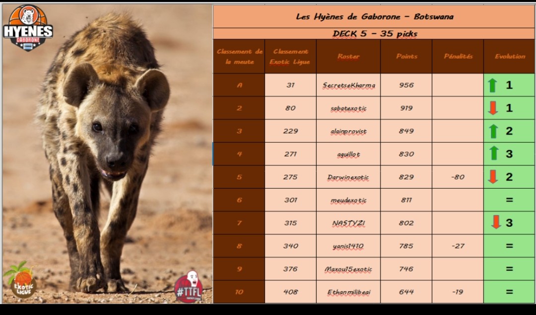Belle remontée pour la meute qui lâche sa place de bon dernier, maintenant 17e !!(+3) Fier aussi d'avoir le dernier de la ligue 😅 🌴🍾