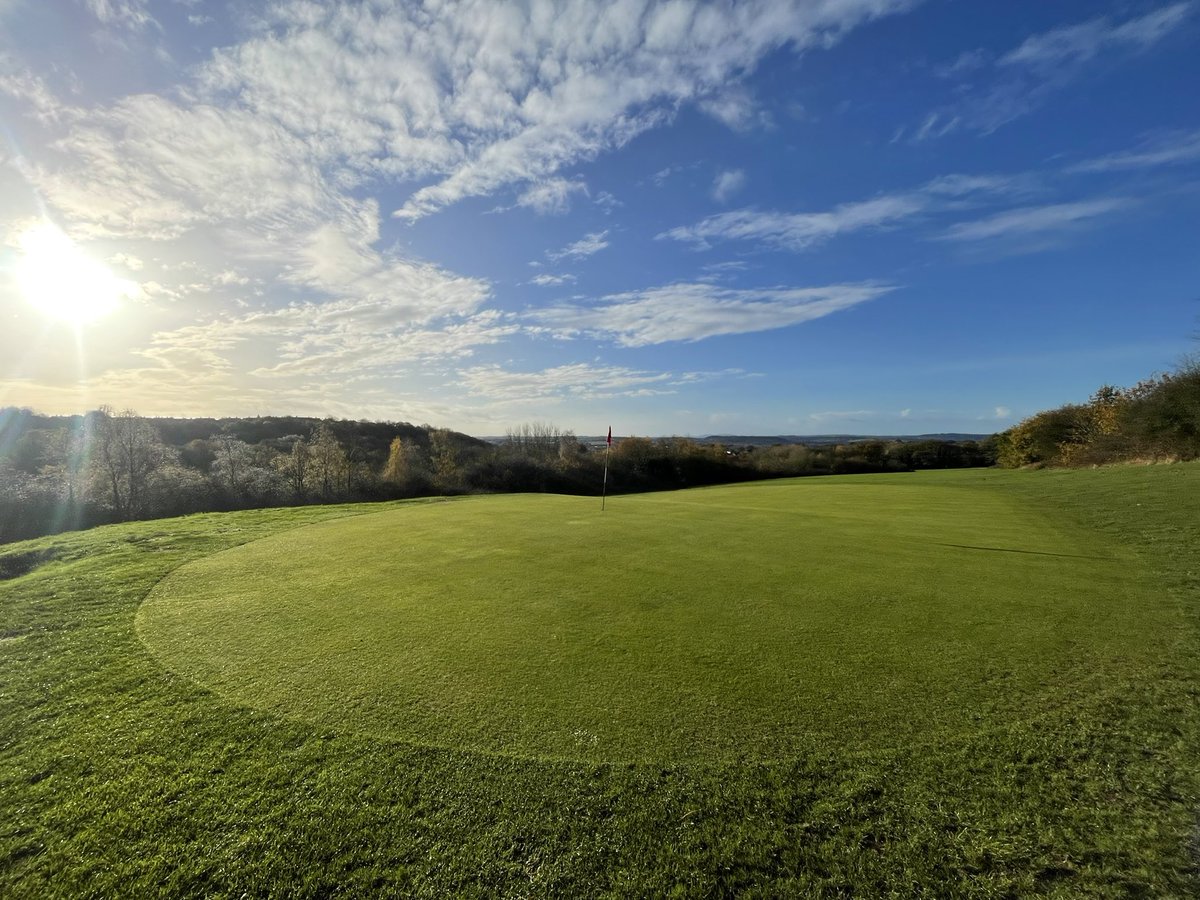 In between the spells of the rain, greens still nice and firm👍🏼