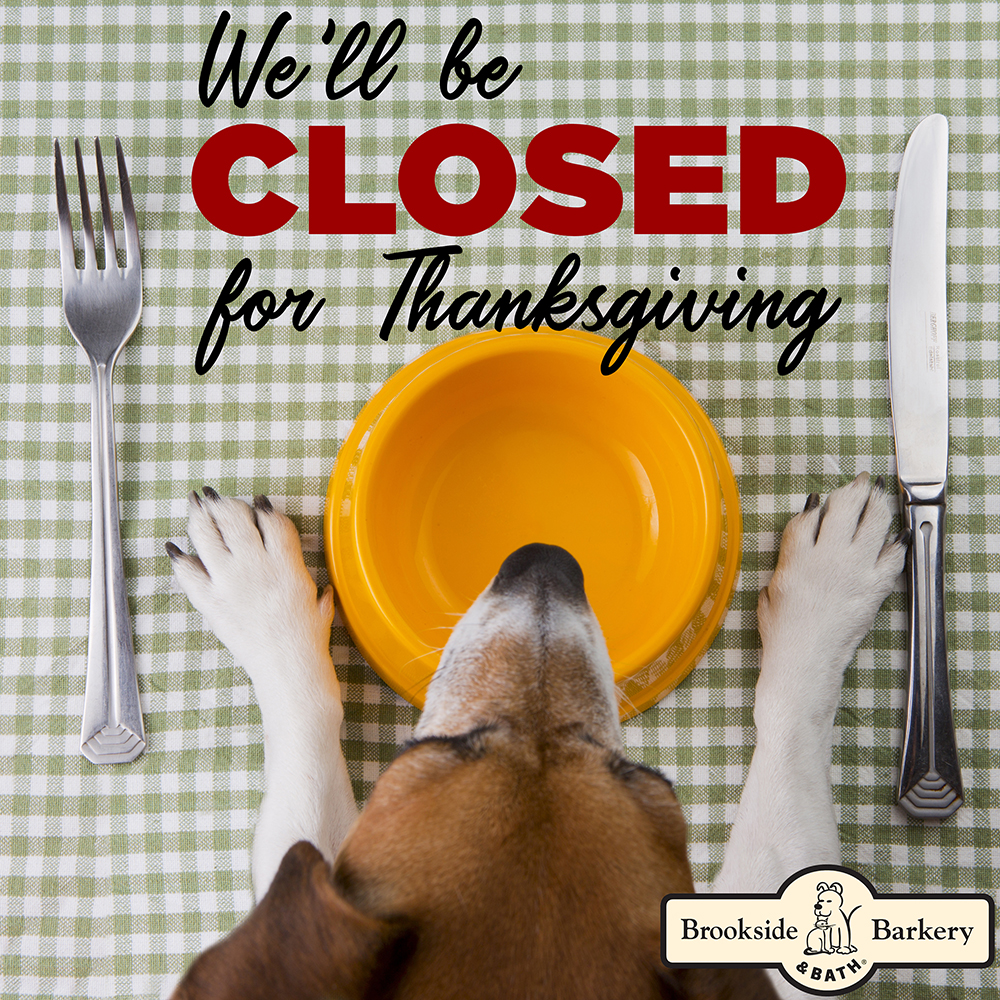 BarkeryKC's tweet photo. We have so much to be thankful for this year, most of all YOU! We hope you have a wonderful day celebrating all there is to be thankful for in your lives. 🧡

-The Barkery https://t.co/Hhi04emb7S