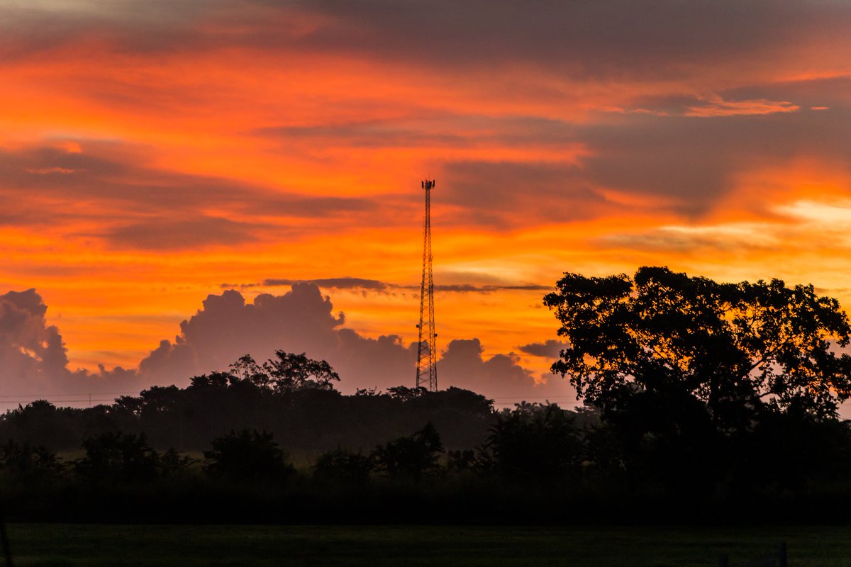 Beautiful sunrise in Orange Walk Town Belize... Sergio Garcia Photography
Nature at its BEST! https://t.co/ZYPuANx8qd