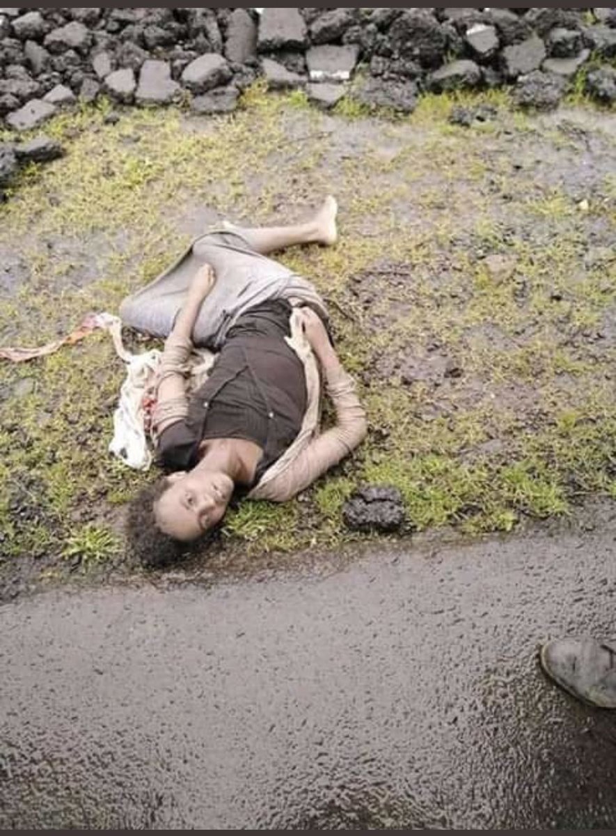 አማራ ሆይ ለምን ግን? አስጠጋናችዉ አበላናችዉ መሬታችንን አጋራናችዉ በጉዲፈቻ አሳደግናችዉ አወረስናቹ የደረቀ ጡት አጥብታ አቅርባ ያኖረቻችዉ የኦሮሞ እናት እንባ ትፋረዳችዉ😭😭😭 አይገባንም ይሄ #Amhara #OromoVoice #Ethiopia #AbiyAhmed