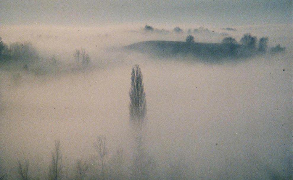 Sabato #26Novembre Serata d'onore con #FrancoPiavoli con proiezione de "Il Pianeta Azzurro" 

Alle 18:30 al #CineDetour 
facebook.com/events/1188628…

L'ingresso libero con prenotazione su Eventbrite 🎟 eventbrite.it/e/biglietti-se…