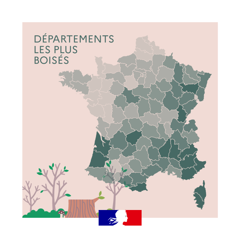Agri_Gouv's tweet photo. Riche en biodiversité, la forêt française couvre 31% du territoire métropolitain 🌳🌲 Retrouvez tous les chiffres qui comptent ⤵

#ChiffresClés #JeudiInfographie