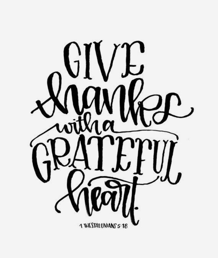 sayhifoundation's tweet photo. ๐ฆHAPPY THANKSGIVING๐ฆ
Here at the Say Hi Foundation, we are most thankful for all of you & the amazing community we built!๐ We hope you all have an amazing holiday & that you give thanks with a grateful heart, not only today, but EVERYDAY! ๐ซถ๐ผ #sayhi #sayhifoundation #teamjoseph https://t.co/ENrc5f0c68
