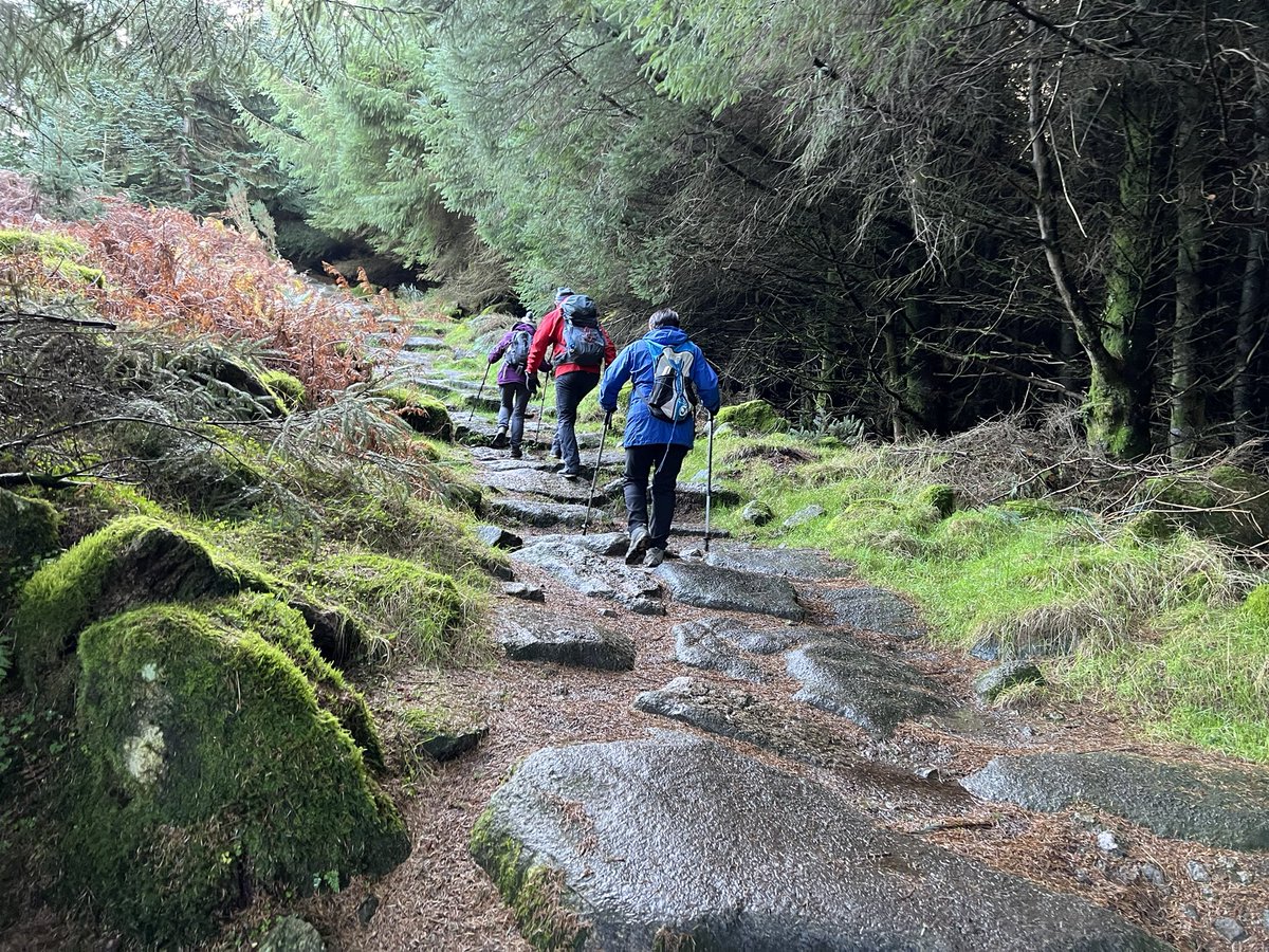 sligodub's tweet photo. Windy day on Tibradden #thursdaywalk https://t.co/4Aq5IE7ABK