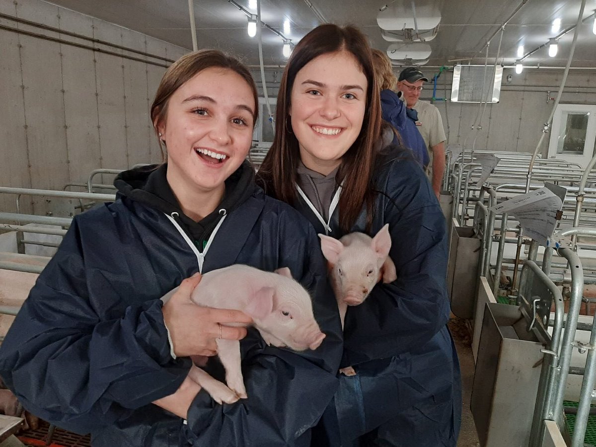 The world of Ag came together this week at @Zeldenrust_Farm Ontario’s best pig farm as voted by LEAF class. Big thanks to Dave and Lauren, vet Tim and @GrandValley tremendous opportunity in ag shared with students, and donuts! Great day! @OntarioPork @UGDSB_SHSM