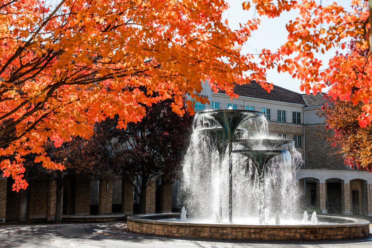 Happy Thanksgiving, Horned Frogs! Here's to a day filled with all the things that make you grateful. #TCUgratitude #TCU 🦃🍁💜