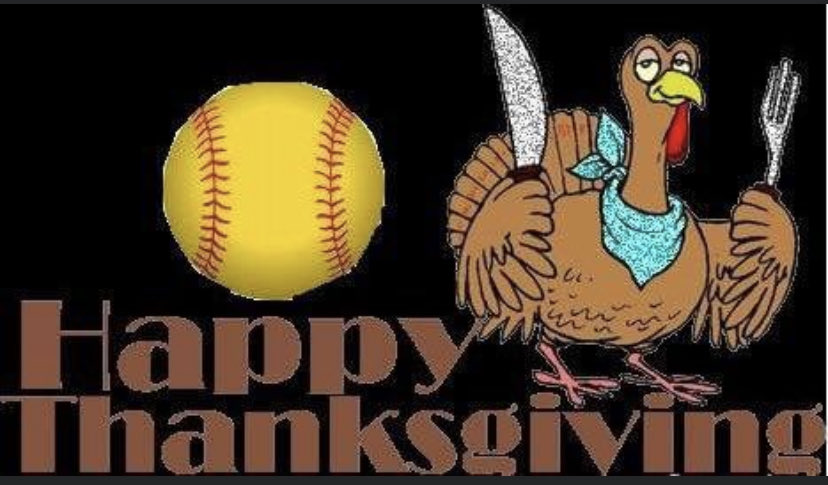 PV PANTHER SOFTBALL tweet media