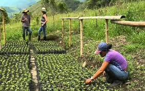 mippci_ven's tweet photo. #24Nov|🇻🇪 🎄 ¡ETIQUETA DEL DÍA! ▶️ 

#ManosParaProducir

¡Vamos hacia la Venezuela Potencia! https://t.co/k3WyHkQVXo