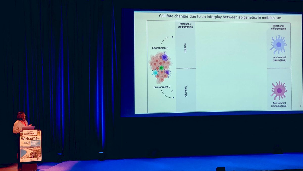 Pau Garcia-Gonzalez tweet media