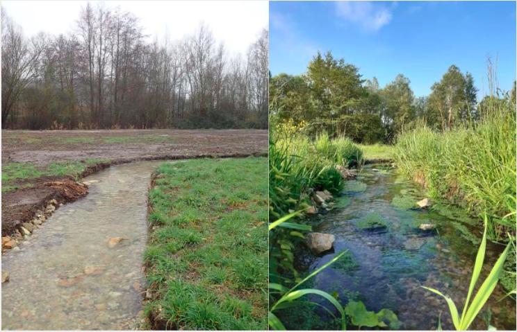 Hydrobioloblog's tweet photo. Renaturation du ruisseau Marcé (49) par le syndicat de rivière des basses vallées angevines.  5 mois seulement séparent ces deux photos. A gauche, le cours d'eau à peine remis en eau après recréation du lit et augmentation du linéaire de 30 %. https://t.co/qbKgMpJZrM