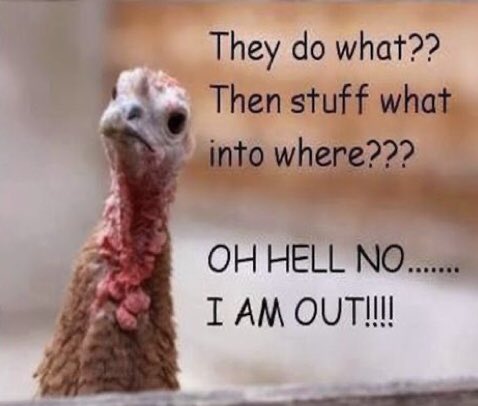 DebraFujiwara's tweet photo. Aloha @HoobaDoug!  Wishing you, your HoobaFamily and your Hoobadoggos a Happy Thanksgiving!  Many blessings to all of you!  How are Wally and Penny Lane?
#gobbletilyouwobble https://t.co/7RBNBcc1nM
