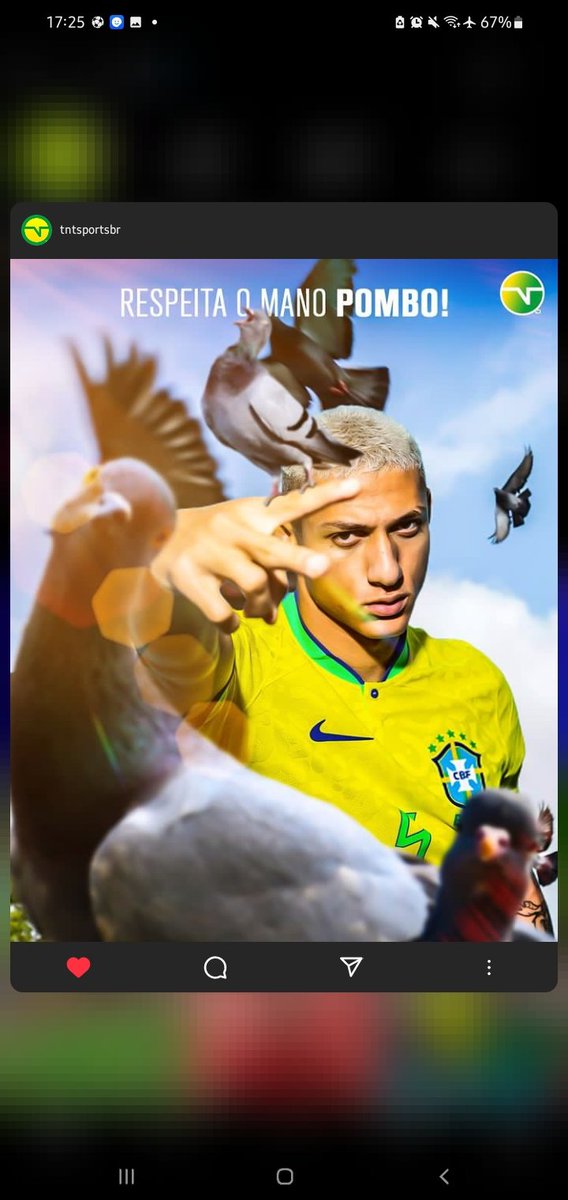 samys_silva3's tweet photo. Mano POMBO 🇧🇷 https://t.co/dzw04lHPIi