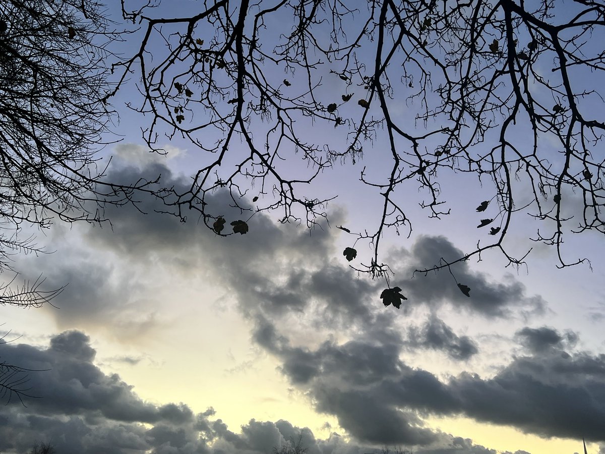 💛🌤️🌅 Sunsets and silhouettes - don’t forget to look up and enjoy the views. 🌇🧡🌥️
