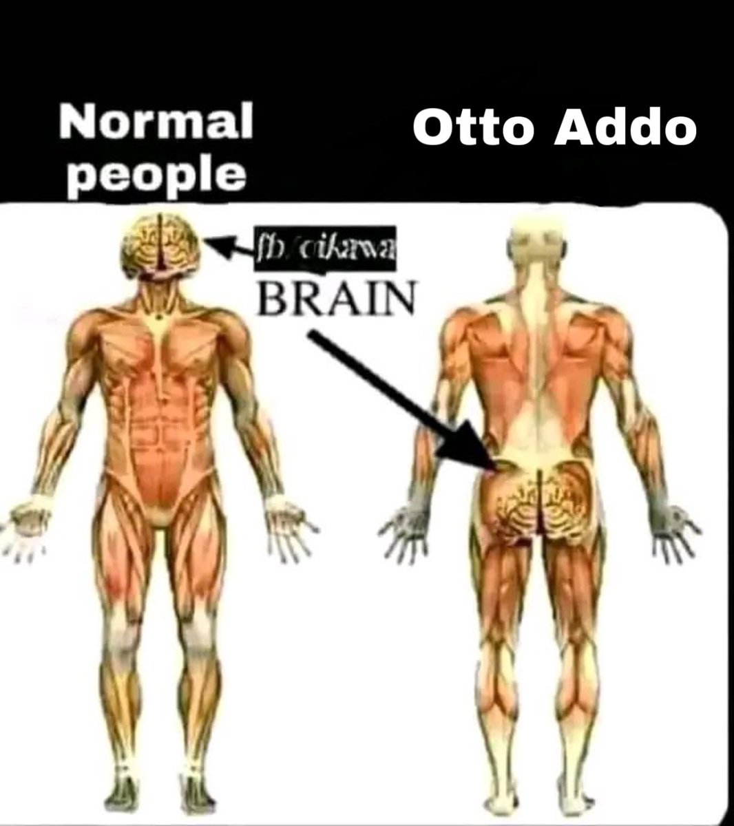 Otto Addo is a very useless coach..
As for Jordan Ayew ..hmmm