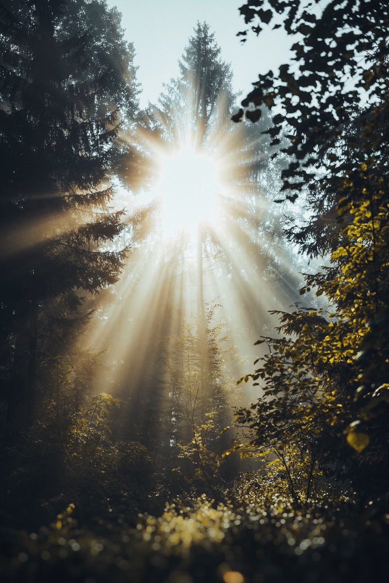 moners | Outdoor Photography from Germany tweet media