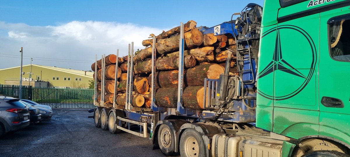 Wheres <a href="/bigwillymasonis/">Willbur!</a> when ya want to make him jealous 🤔🤣🤣🤣