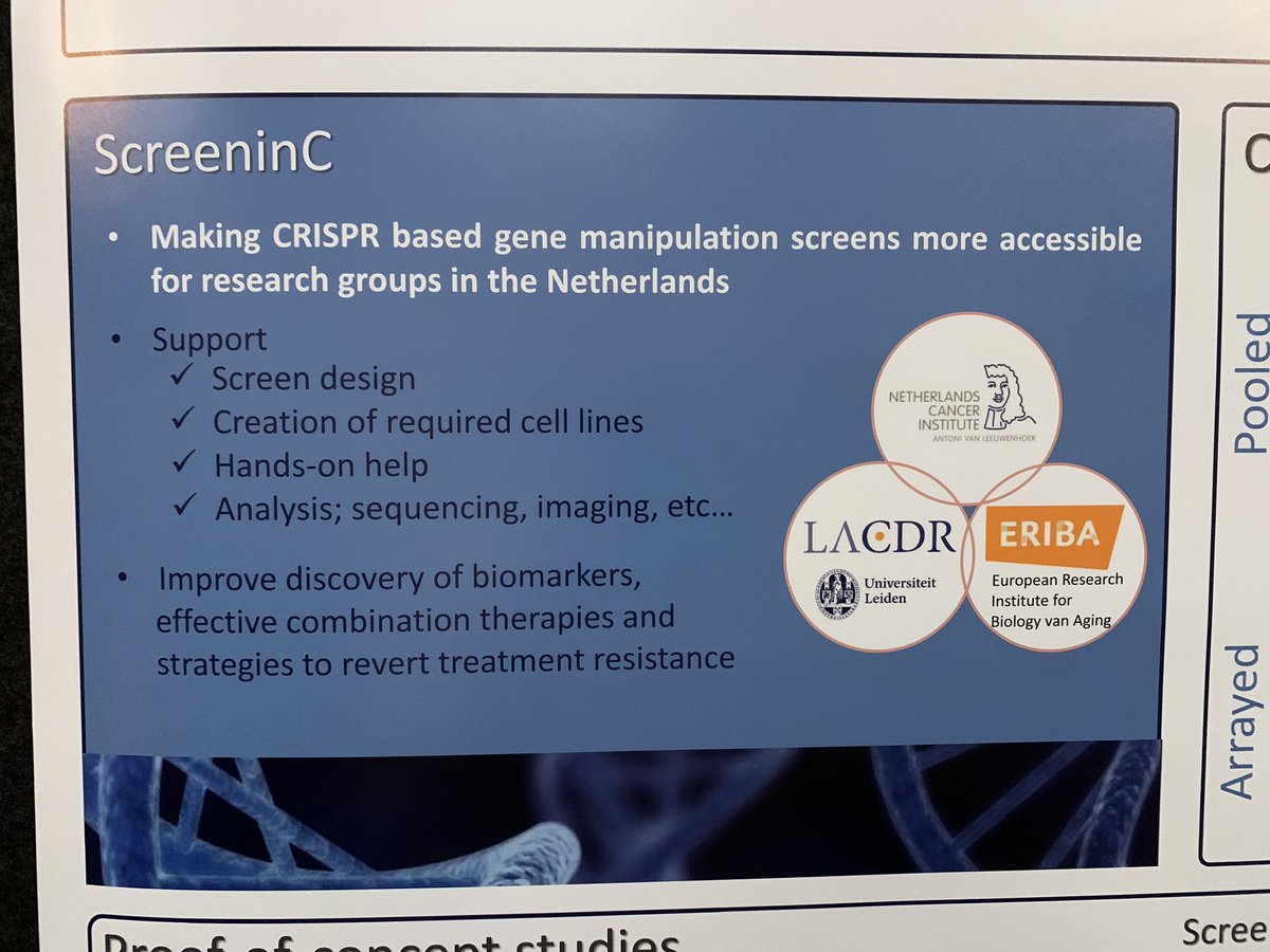 seledevedec's tweet photo. Also presentation for the first time of #ScreeninC an infrastructure funded by @kwf_nl at the #tumorcellbiology meeting in Lunteren. We have developed a #phenotypic #arrayed #CRISPR #screening platform to gain insight in #cancer biology. @NKI_nl @LACDR @UMCG_ERIBA https://t.co/Rr8qoFGRUt