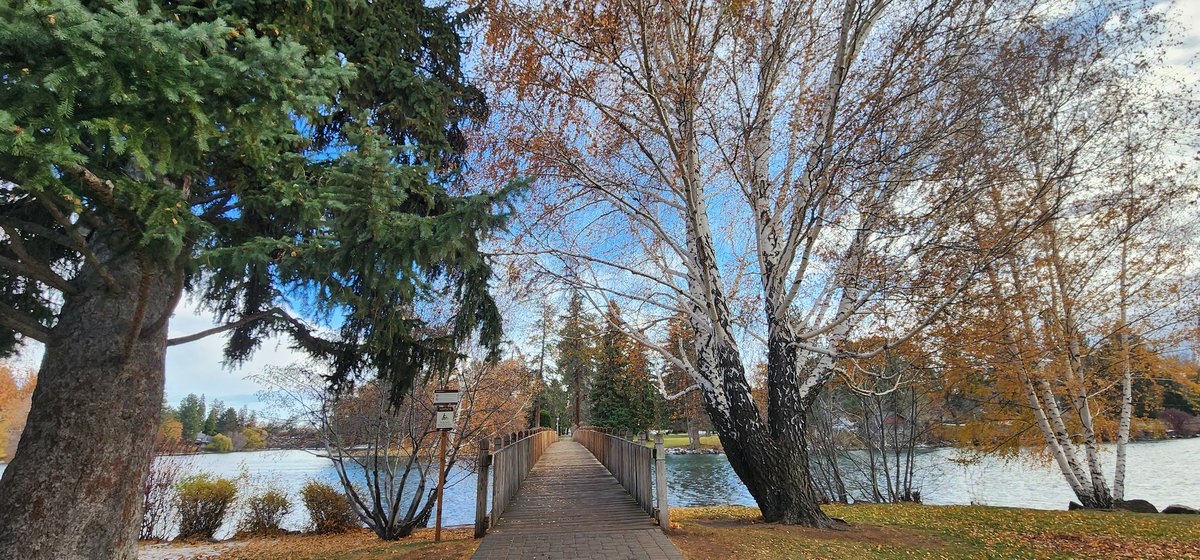 k1ttyw1tch's tweet photo. Such a lovely scenery ~♡
#bendoregon #nature #bridge #drakepark #park https://t.co/uiZjccB4Wl