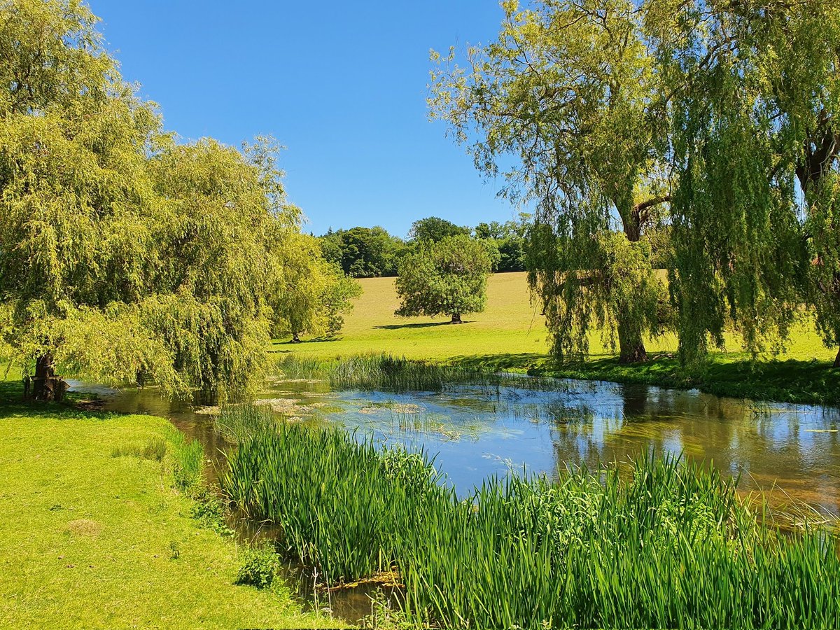 Greenwich English tweet media