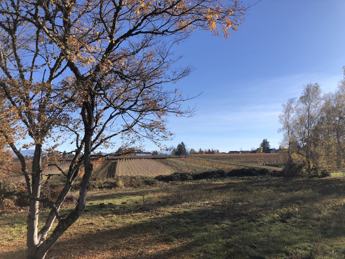 MomGoesForARun's tweet photo. It’s a beautiful morning for a run. So much to be thankful for ❤️ https://t.co/aFxVPNtteD