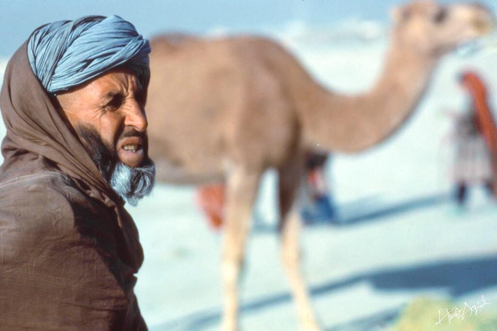 HerbsArchive's tweet photo. Afghanistan (1970’s)
Presenting the Herb’s Archive Photo Book: An uncovered collection of film images from around the world. Now available on Kickstarter where you have the chance to receive a first edition copy and make this book a reality. Link in Bio.

#photography #natur… https://t.co/uxyFy7IUOT