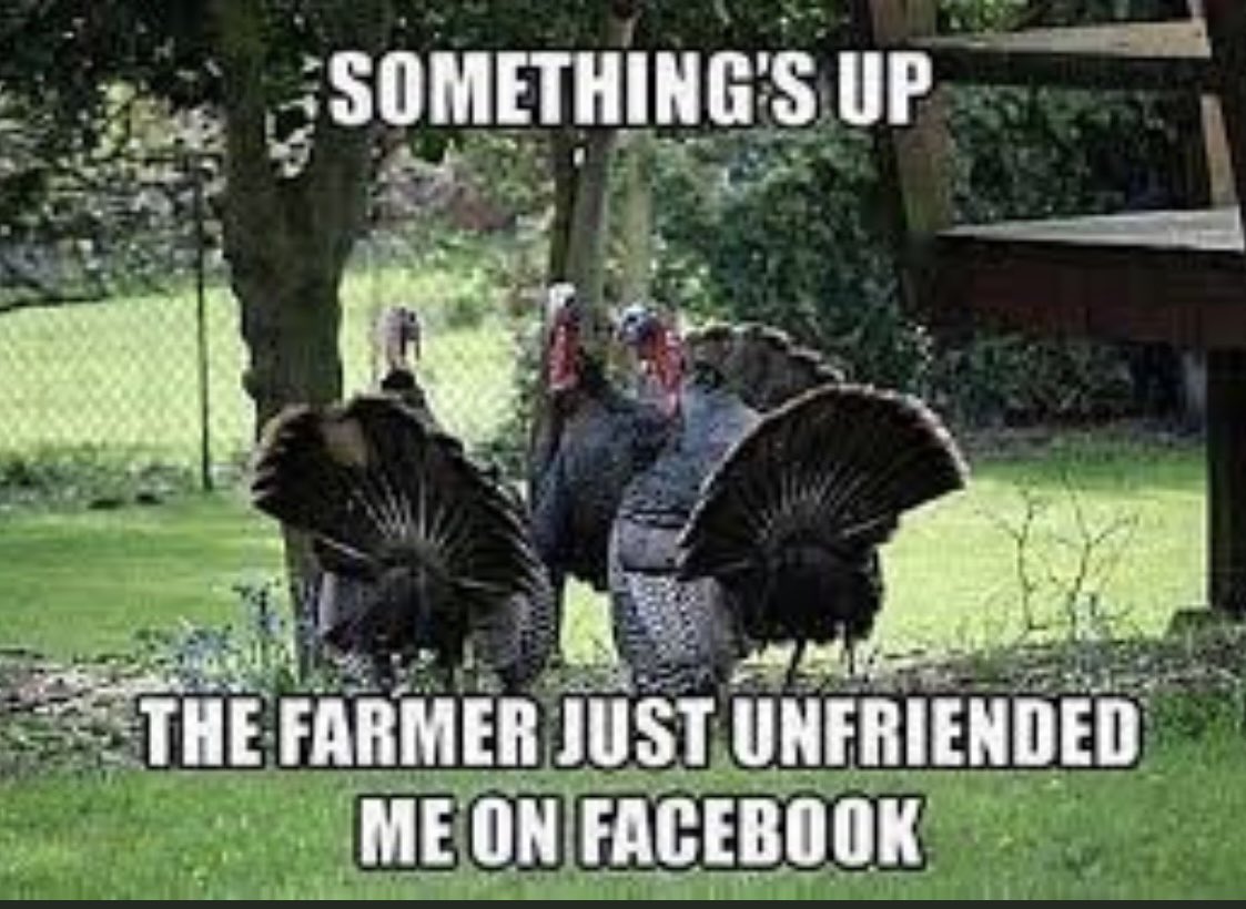 aehade's tweet photo. Uh oh..
*In my Sherlock Holmes voice: “the game is afoot.” 🤭

Whether with merry hearts, or weary hearts we can still have Thankful hearts.

Grace and Peace to all this #Thanksgiving Day. https://t.co/3k2Pbj3cdh