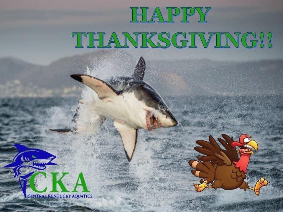 ckaquatic's tweet photo. https://t.co/T9hpJyoNtP