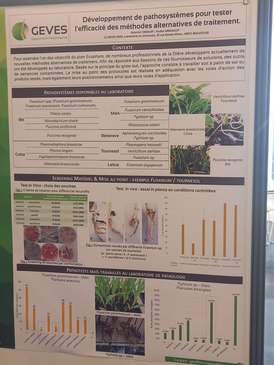 ASophiePoisson's tweet photo. Excellent poster présenté par Geoffrey Orgeur @GEVESGip au séminaire @IBMAFrance 👏 
Parce que le travail de mise au point de pathosystèmes pour les tests d'évaluation d'efficacité de #biocontrole sur #semences et #plantules ca ne s'improvise pas, c'est une affaire d'experts 🌱😉 https://t.co/eYFs53y92m