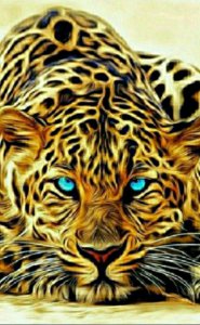 DizzyFoxBean2's tweet photo. #LIKEapp Chef AnastasiaGr is broadcasting a Magic Live, come and join in!https://t.co/bOGLJ33YBS https://t.co/TsS39qZVSn