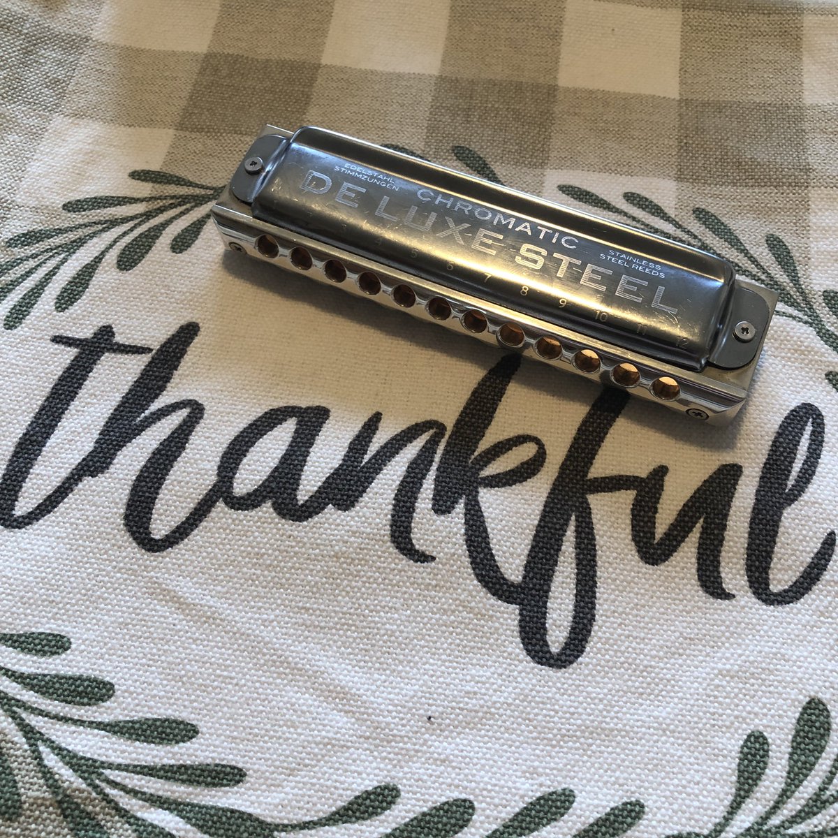 NJHarmonica's tweet photo. Happy Thanksgiving from the Garden State Harmonica Club!
#harmonica #harmonicaplayer #harmonicablues #harmonicas #bluesharmonica #seydel #seydelharmonicas #harmonicalovers #harmonicaplayers #harmonicaclub #gardenstateharmonicaclub #newjersey  #chromaticharmonica #thanksgiving https://t.co/KHziqlXIgJ