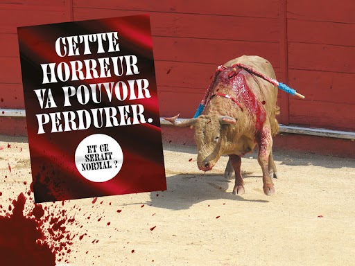 Tant de tristesse et de colère ! Face à l’obstruction parlementaire, le groupe LFI vient de retirer la #PPLCorrida… Une minorité de députés, en déposant des centaines d’amendement ridicules, a volé le vote dans le seul objectif de faire perpétuer la torture et la mise à mort.⬇️