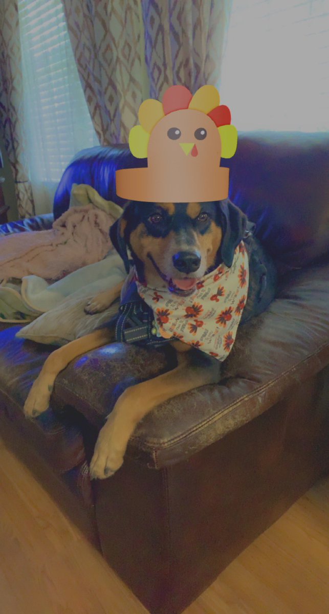 Happy Thanksgiving 🦃