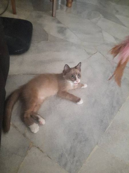 fast_3g_bot's tweet photo. @fast_3g https://t.co/lyF5TevkVB