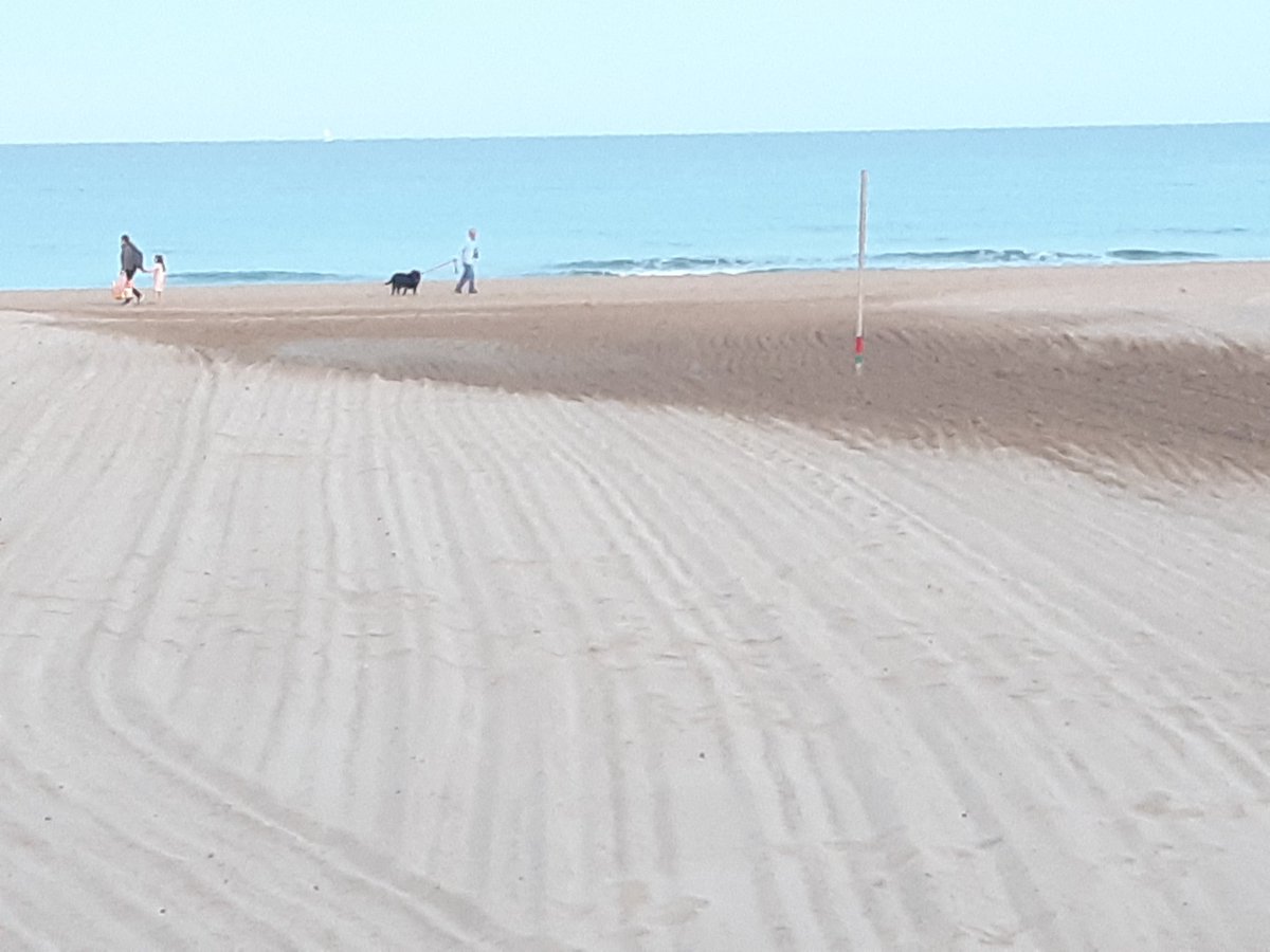 NicaMonzen's tweet photo. Mientras #NikaPerraDeAlertaMédica pasea por la orilla Mami en el paseo marítimo una miajilla, les espero a la vuelta!!! 🦮🎀🐾 🌊 🐚 🌊 🐚 🌊 
#pasear
 #relax 
#playa
#observador 
#Alicante 
#inspirar 
#exhalar https://t.co/6Oa1QdO7pm