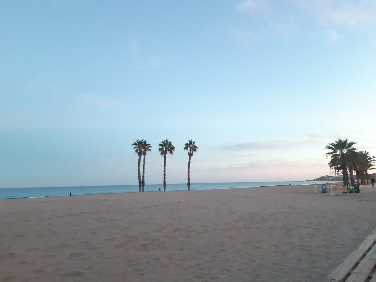 NicaMonzen's tweet photo. Mientras #NikaPerraDeAlertaMédica pasea por la orilla Mami en el paseo marítimo una miajilla, les espero a la vuelta!!! 🦮🎀🐾 🌊 🐚 🌊 🐚 🌊
#pasear
#relax
#playa
#observador
#Alicante
#inspirar
#exhalar https://t.co/6Oa1QdO7pm