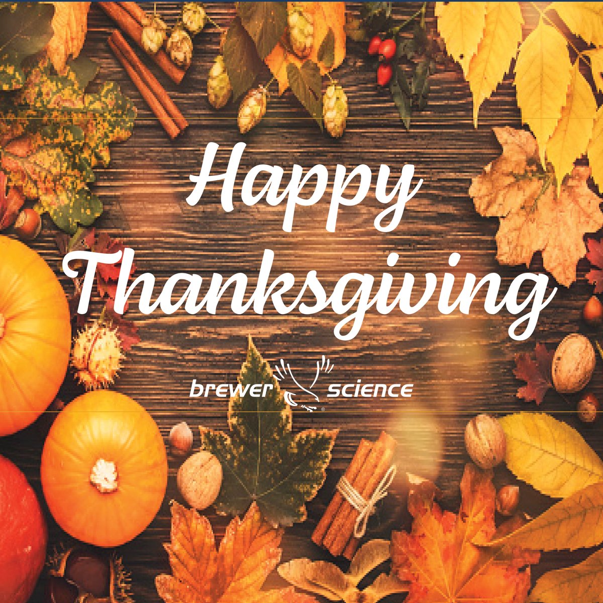 test Twitter Media - Thanksgiving is a time to remember everything we’re #thankful for. Brewer Science is grateful for our customers & partners, our community, & most importantly, our amazing employees. We wouldn’t be here today without them. We’d like to wish a very happy Thanksgiving to all! https://t.co/E8F45ioFuM