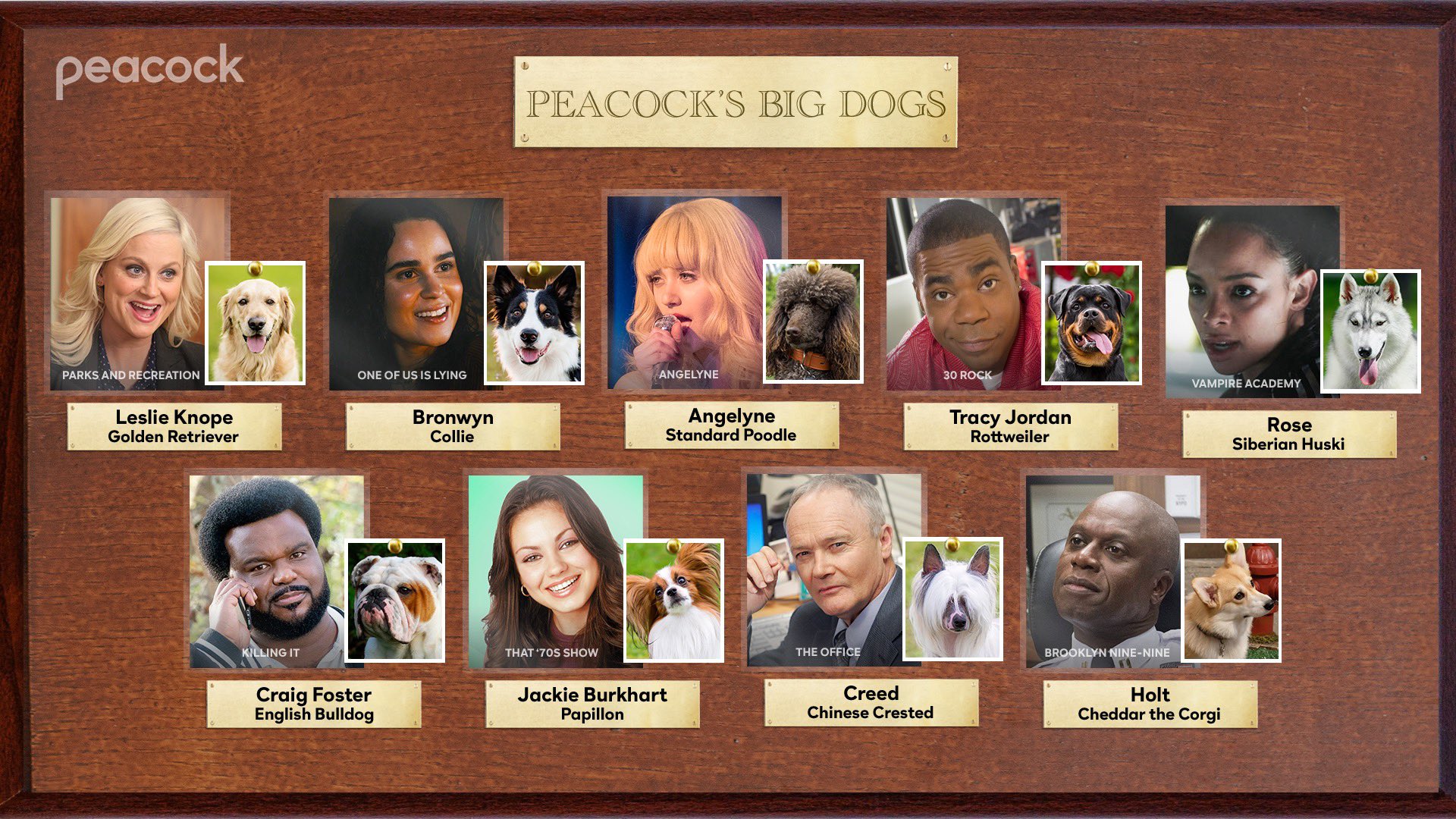 Parks and recreation season 5 deals streaming