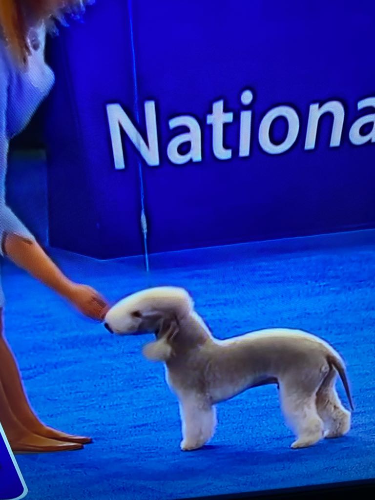 Luis Vazquez tweet media